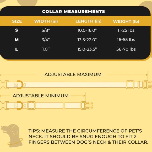 Elvis Dog Collar Black and Gold Size Medium Pet - Picture 4 of 6